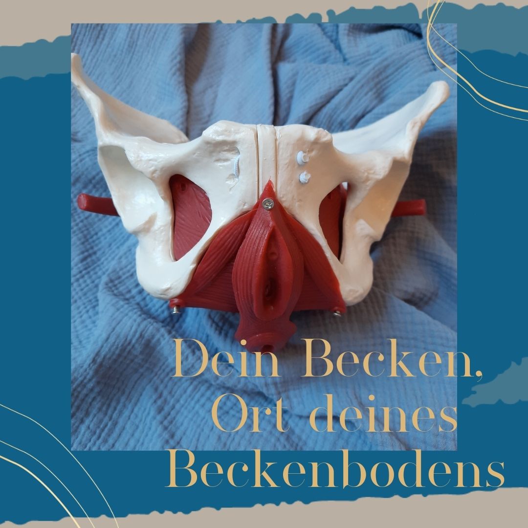 Bild weibliches Becken(2)